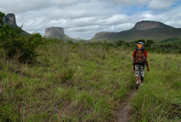 The Definitive Handbook for Capturing Stunning Wildlife Photos in UK National Parks